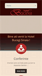 Mobile Screenshot of hotelbucegisinaia.ro